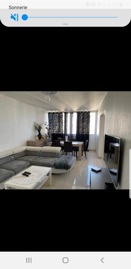 Appartement Laurent Bonnevay Villeurbanne Zewnętrze zdjęcie