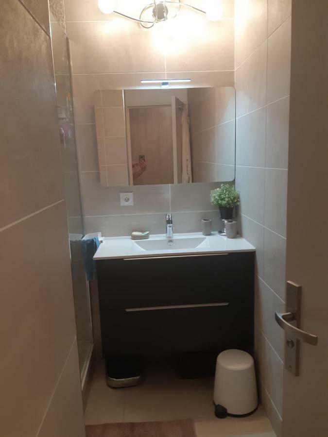 Appartement Laurent Bonnevay Villeurbanne Zewnętrze zdjęcie